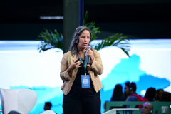 Crédito - Above Studios